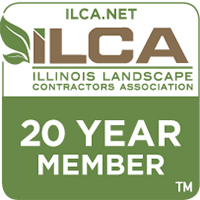 ILCA Member